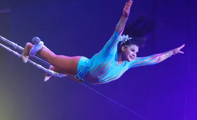 Circus Caballero