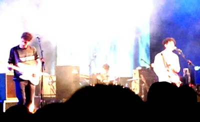 Last Dinosaurs