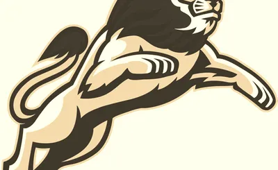 Loyola Marymount Lions