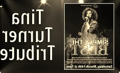 Simply The Best - Tina Turner Tribute