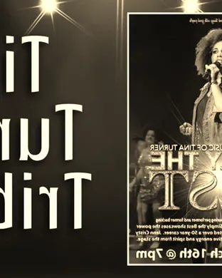 Simply The Best - Tina Turner Tribute