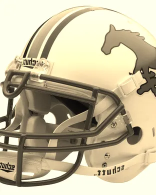 Southern Methodist (SMU) Mustangs