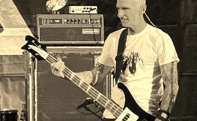 Toadies