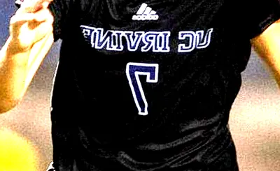 UC Irvine Anteaters