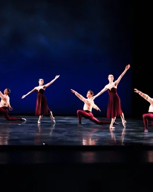 A Tutu Tale Untangled